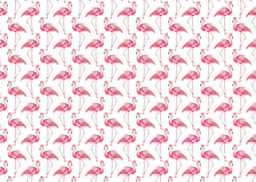 Printed Wafer Paper - Pink Flamingos